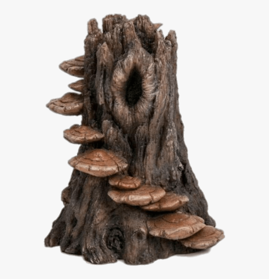 Tree Trunk With Mushroom Steps - Mushroom Steps On Tree, HD Png Download, Free Download