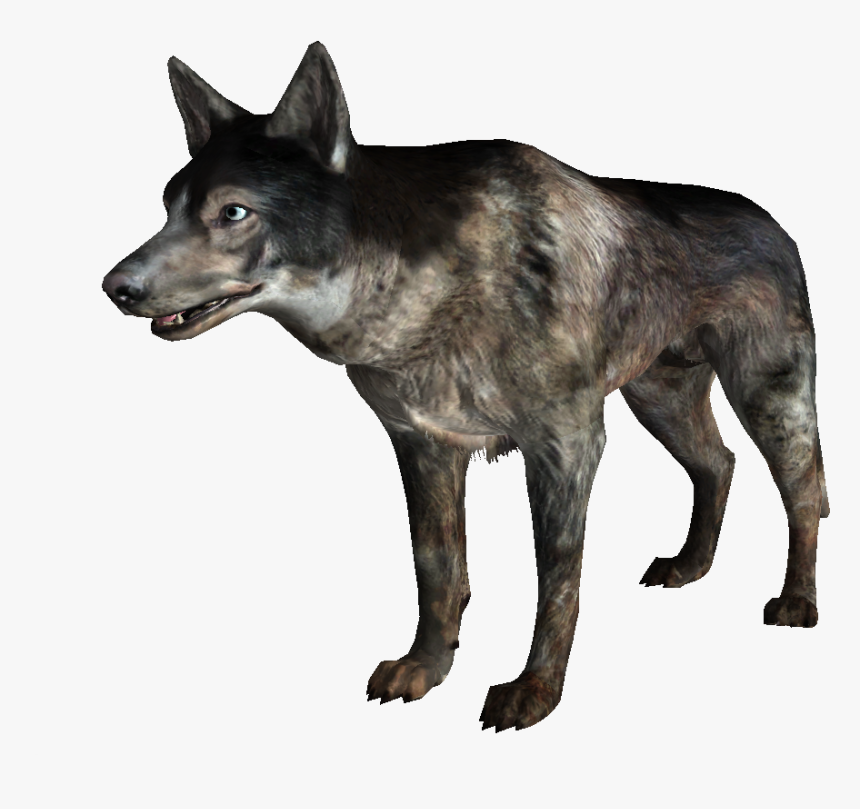 Wild Dogs Png Images Download - Savage Dog Fallout, Transparent Png, Free Download