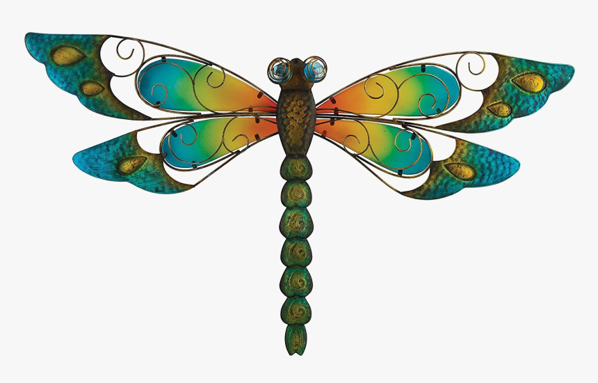 Dragonfly Png Image - Portable Network Graphics, Transparent Png, Free Download