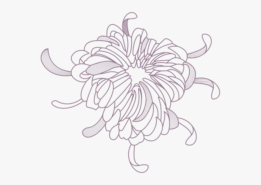 Transparent Flower Outline Png - Portable Network Graphics, Png Download, Free Download