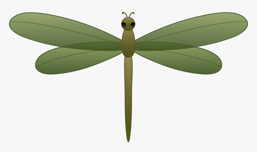 Dragonfly Clipart Cliparts And Others Art Inspiration - Realistic Dragonfly Free Clipart, HD Png Download, Free Download