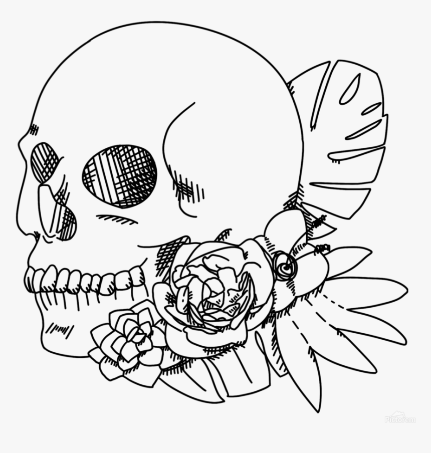 Skull And Flowers Outline Art Print - Flowers Outline, HD Png Download, Free Download