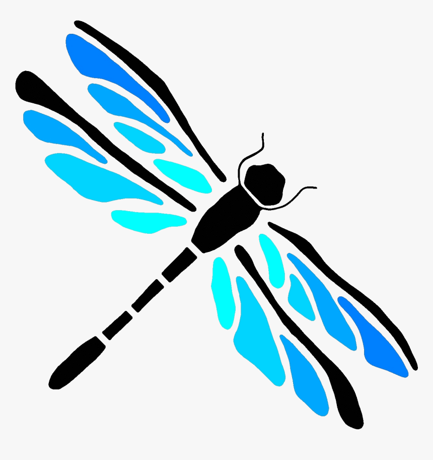 dragonfly illustration vector free download