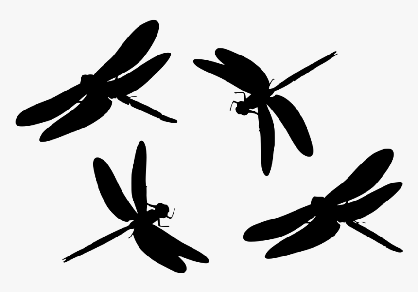 44 Free Dragonfly Svg File Background Free Svg Files Silhouette And ...