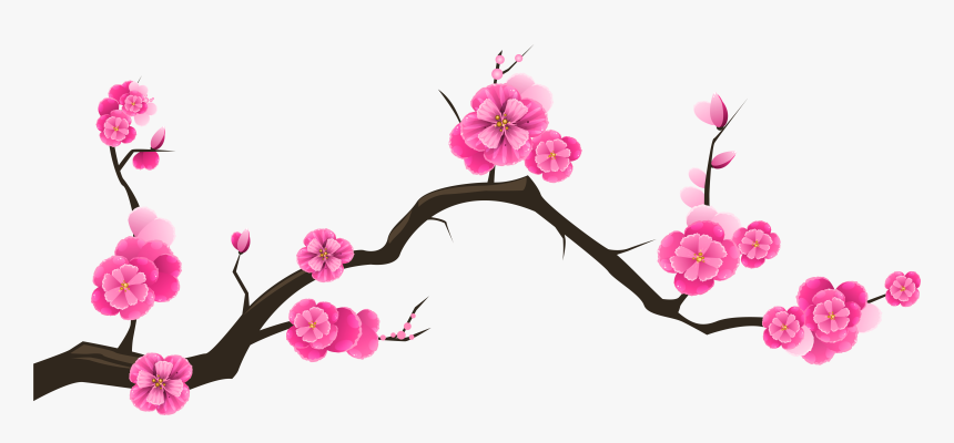 Cherry Blossom Branch Stock Huge Freebie Download, HD Png Download, Free Download