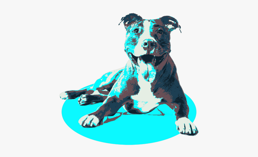 Transparent Background Dog Png, Png Download, Free Download