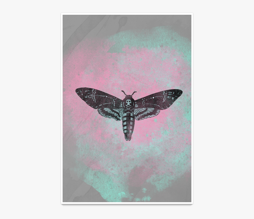 Transparent Moth Hannibal - Butterfly, HD Png Download, Free Download