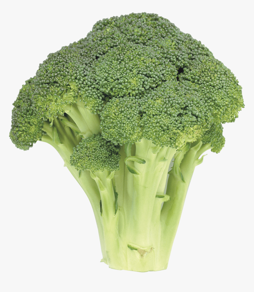 Broccoli - Broccoli Transparent, HD Png Download, Free Download