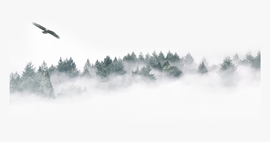 Transparent Forest Png - Transparent Winter Snow Forest Png, Png Download, Free Download