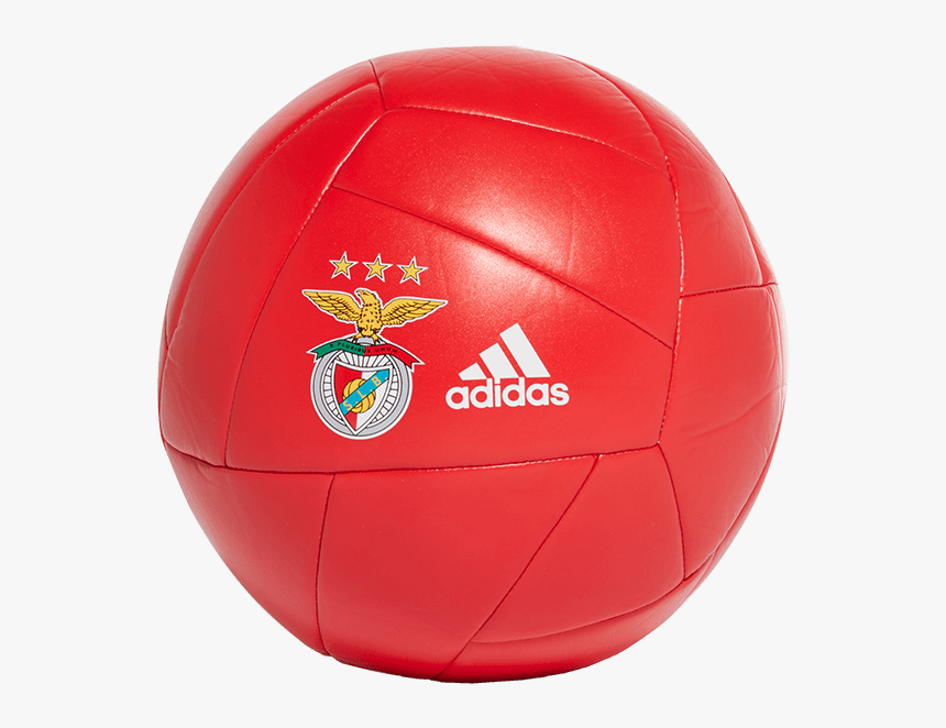 Bola De Futebol Do Benfica, HD Png Download, Free Download