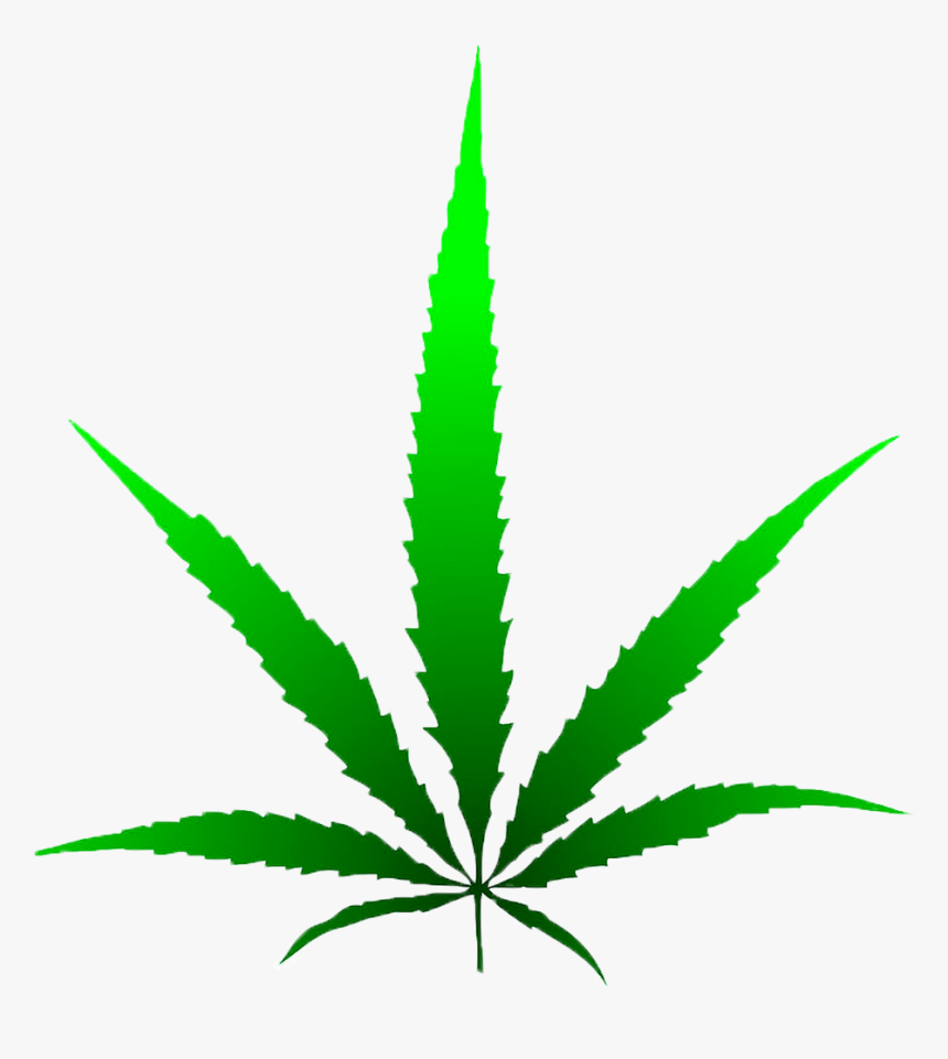 Marijuana Leaf Drawing - Cannabis Oil Vector Icon, HD Png Download, Free Download