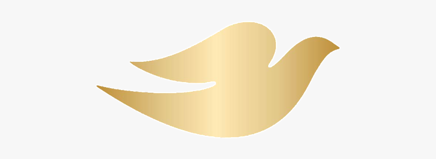 Dove, HD Png Download - kindpng