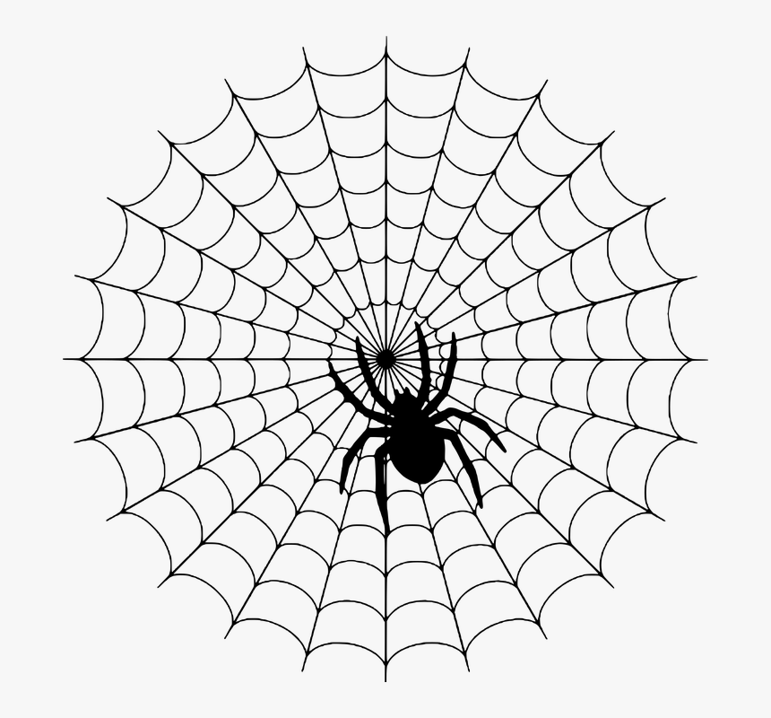 spider web silhouette halloween spiderweb cobweb charlottes web spider web hd png download kindpng charlottes web spider web hd png