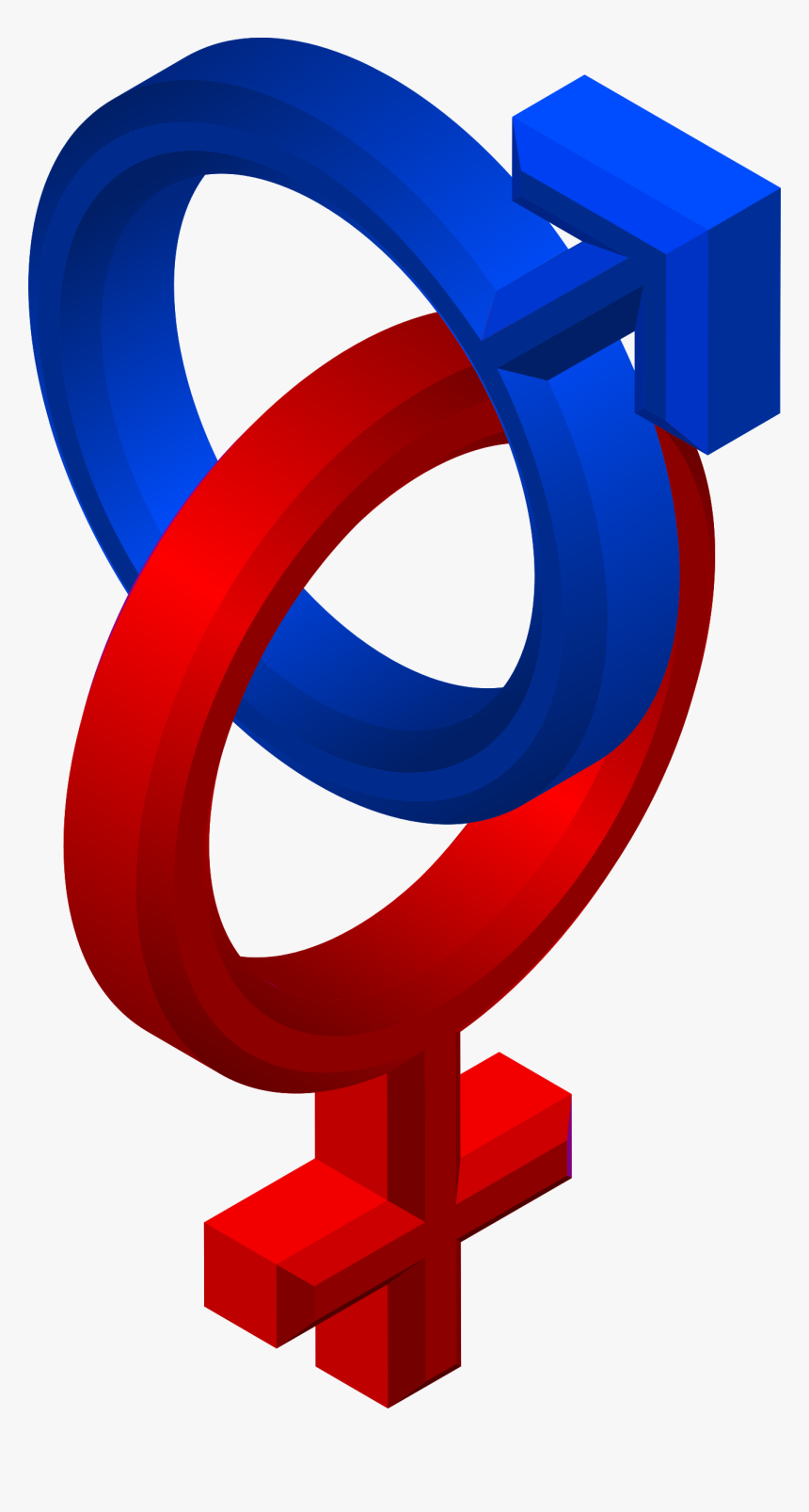 Male Clipart Man Woman - Blue Male And Red Female, HD Png Download, Free Download