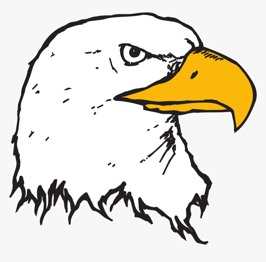 Animated Bald Eagle Head, HD Png Download, Free Download