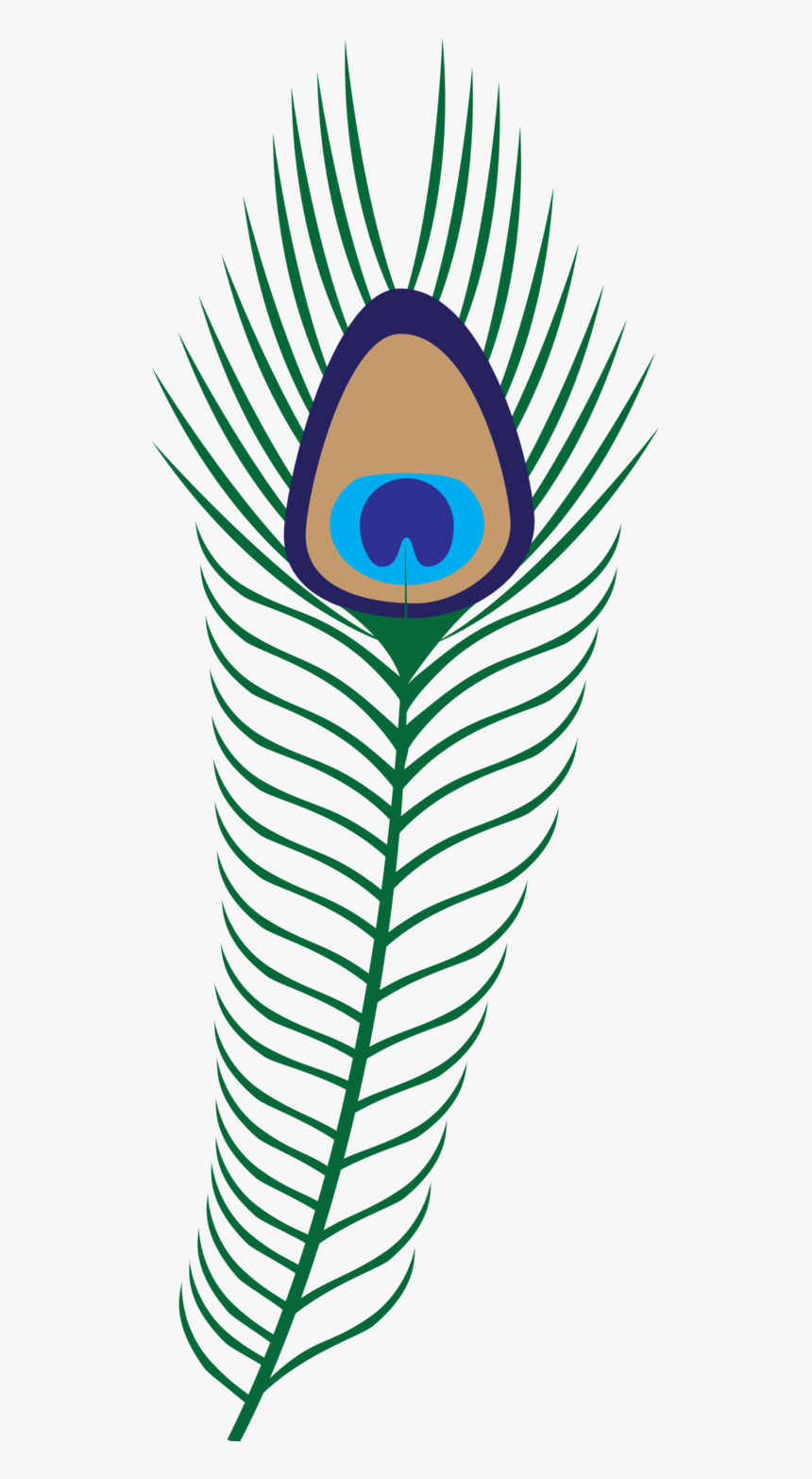 Transparent Background Png Format Peacock Feathers - Peacock Feather  Clipart Png, Png Download - kindpng
