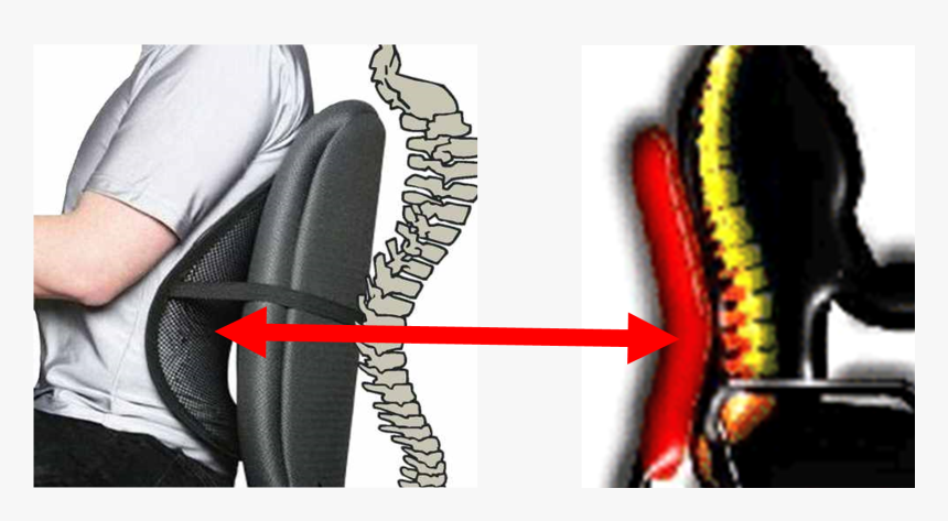 Chair Back Support For Scoliosis, HD Png Download, Free Download