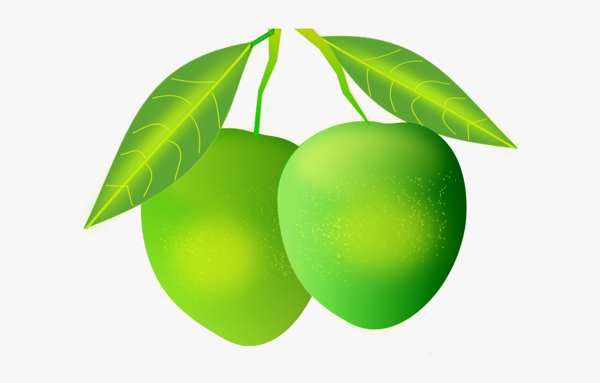 Mango Png, Transparent Png, Free Download