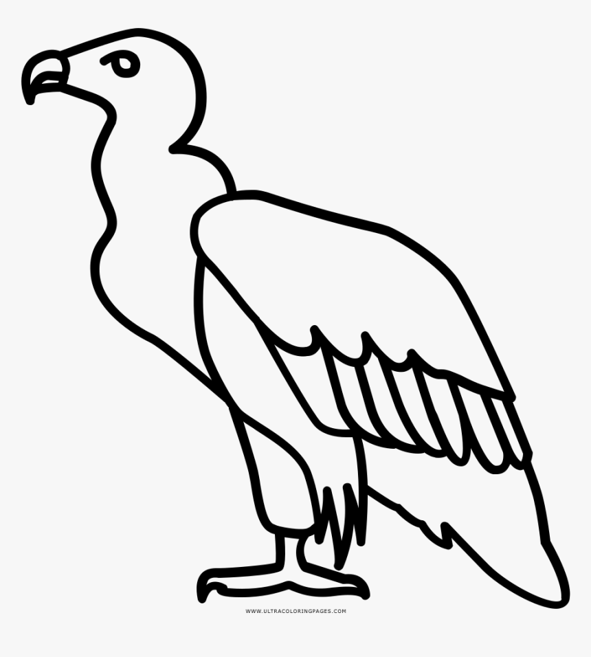 Vulture Coloring Page, HD Png Download, Free Download