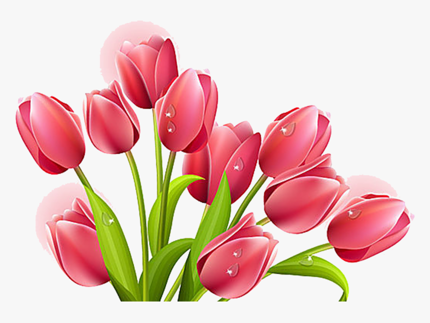 Drawing Tulip Bouquet Huge, HD Png Download, Free Download