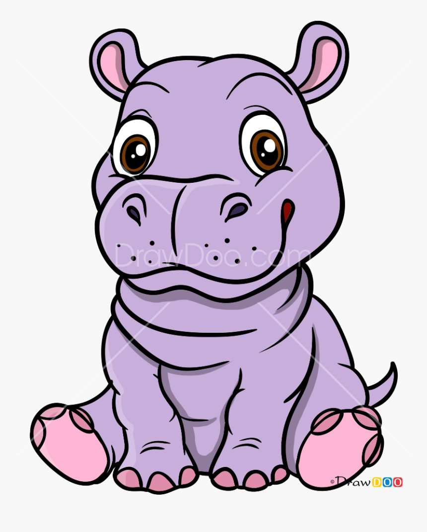 How To Draw Baby Hippo Baby Animals Hd Png Download Kindpng
