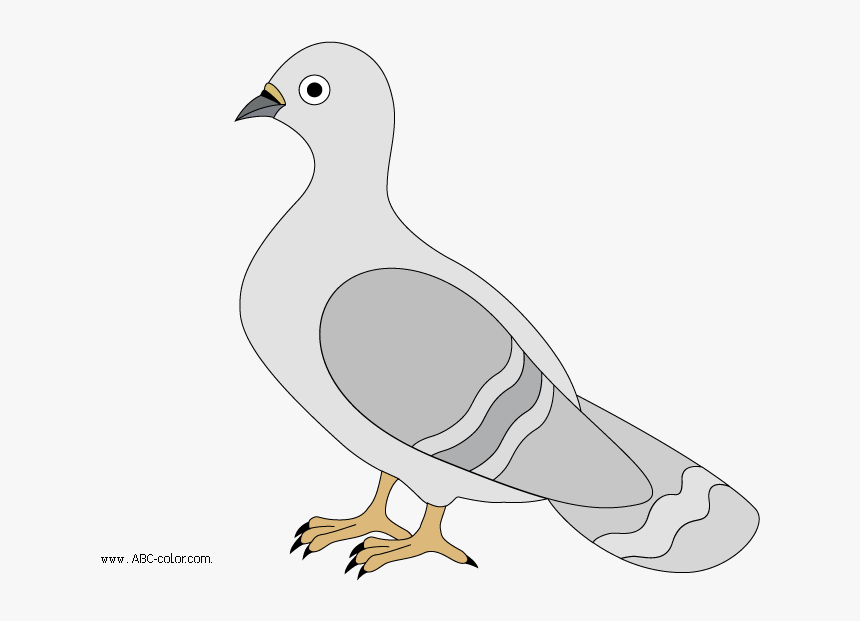 Pidgeons Clipart Transparent Background, HD Png Download, Free Download