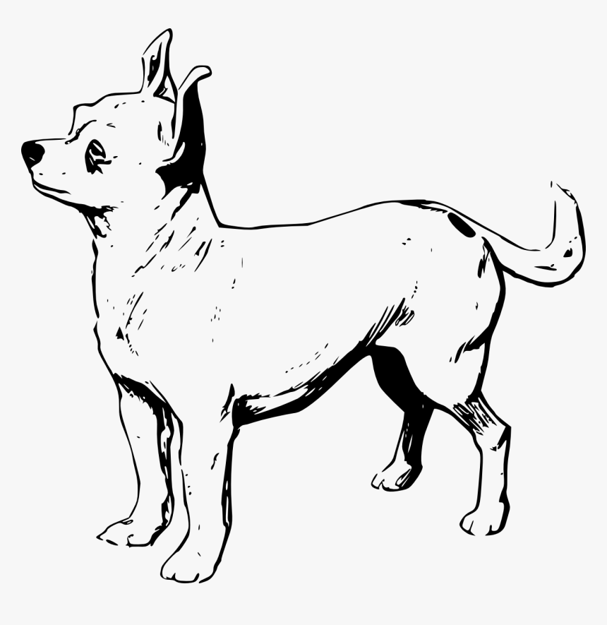 Chihuahua Png Clip Arts, Transparent Png, Free Download