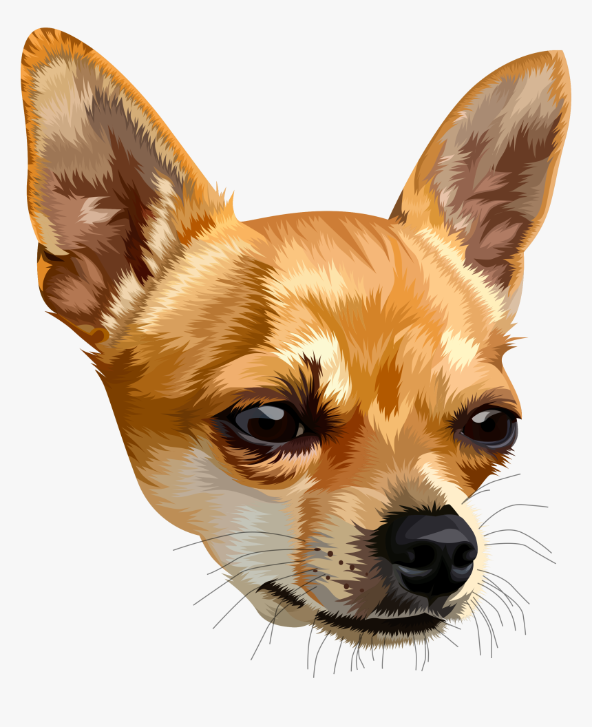 Chihuahua Png, Transparent Png, Free Download