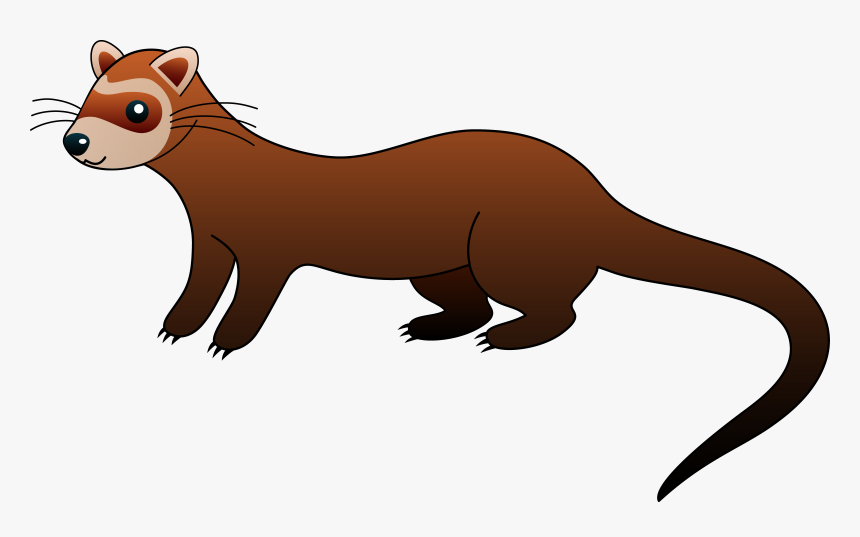 Black-footed Ferret Hamster Clip Art, HD Png Download, Free Download