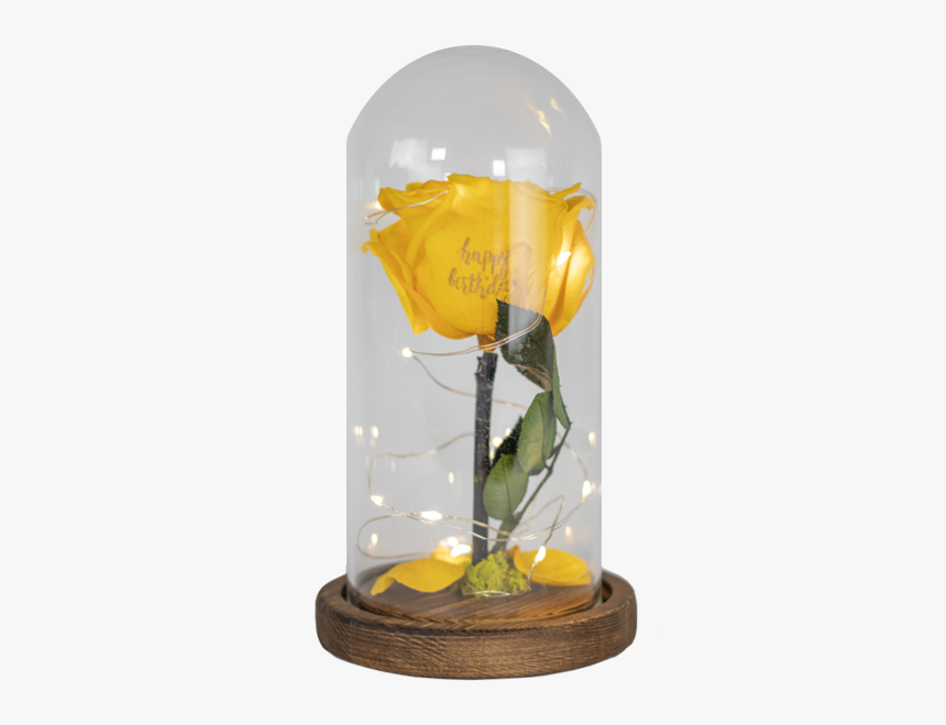 Dome - Preserved Rose, HD Png Download, Free Download