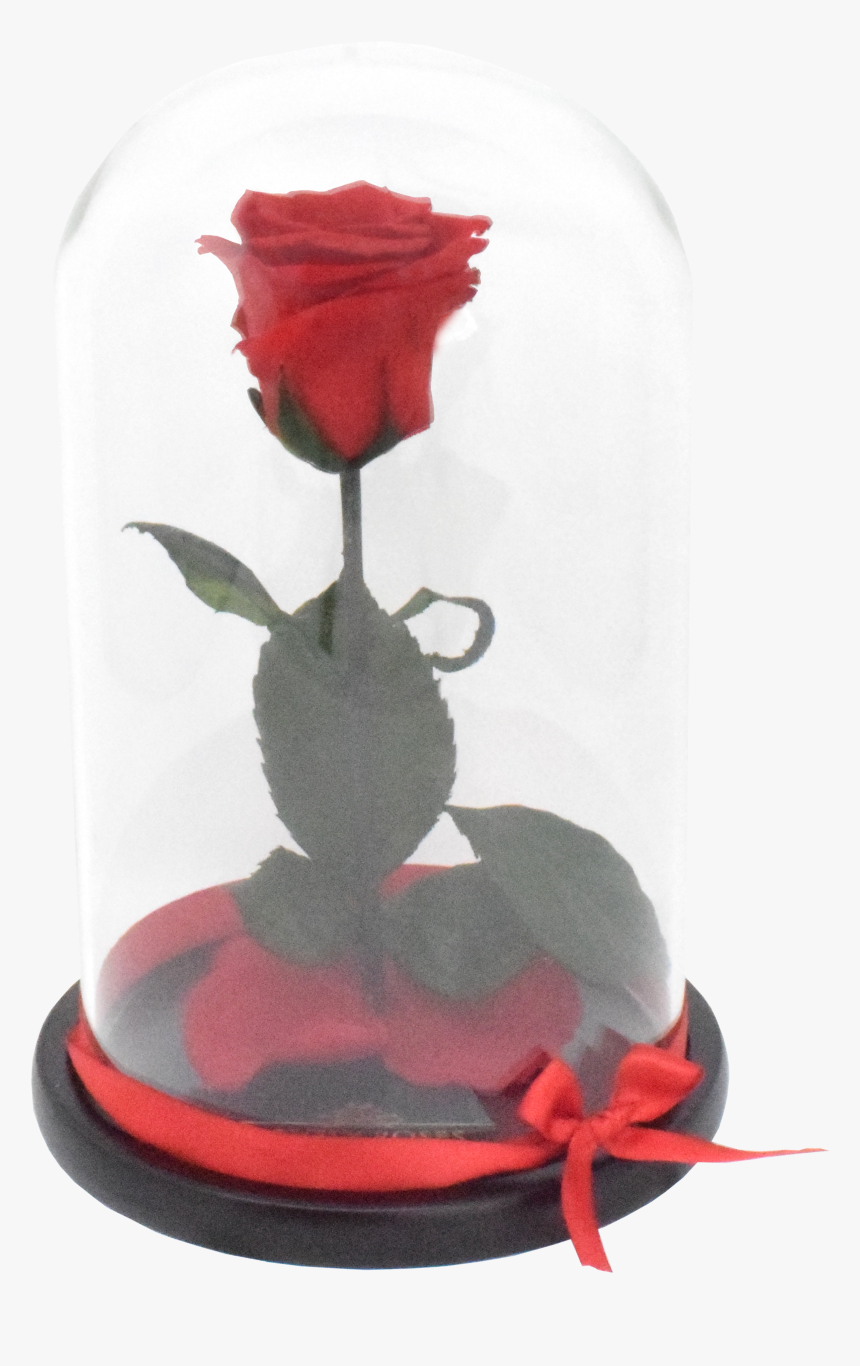 Beauty And The Beast Rose Png Transparent Png Kindpng