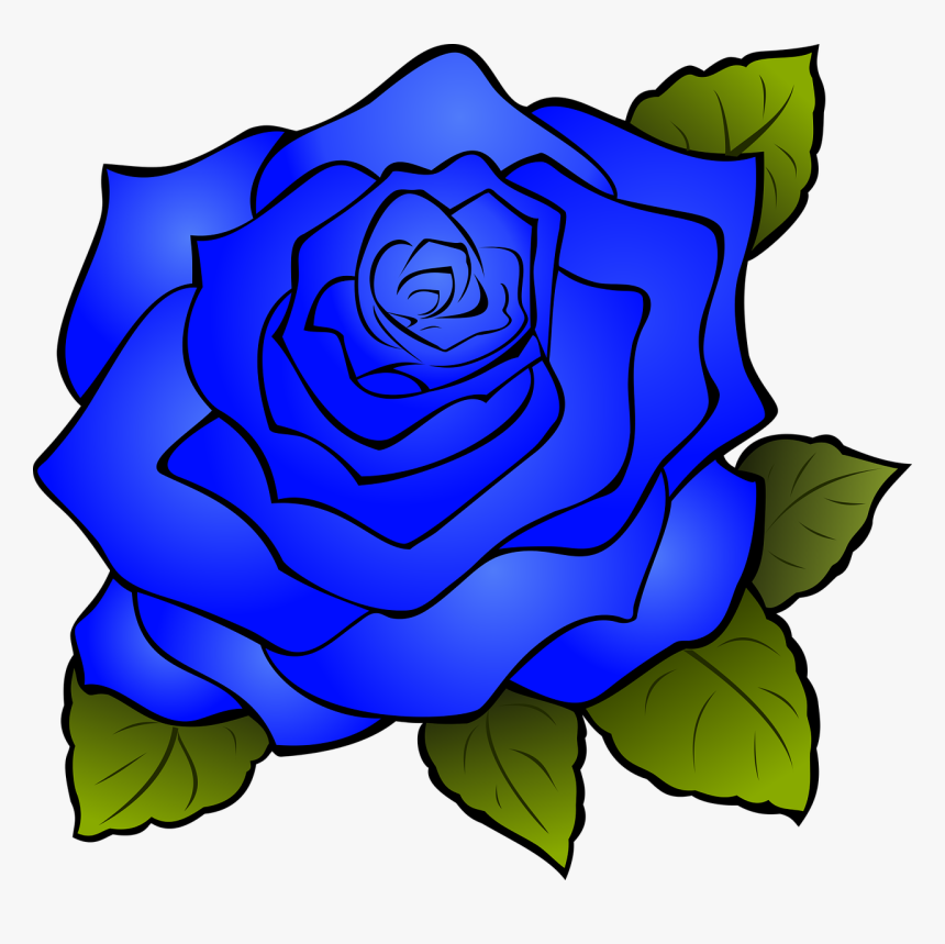 Blue Rose Png, Transparent Png, Free Download