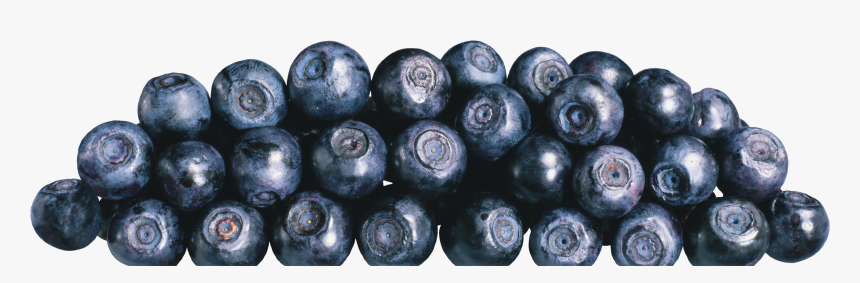 Blueberries, HD Png Download, Free Download