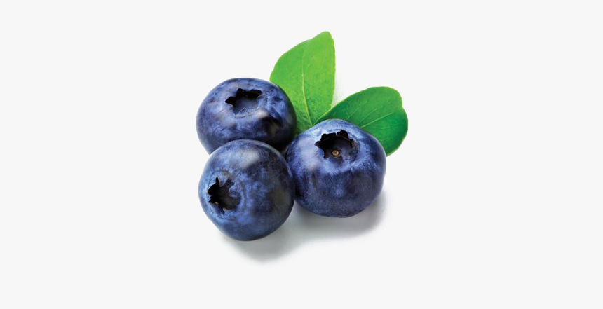 Blueberry Sauce logo