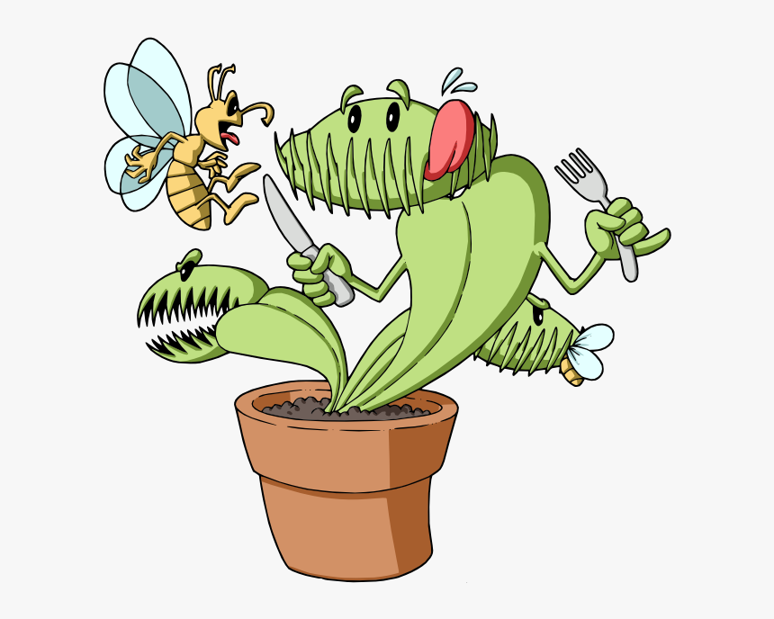 Gold Strike Venus Fly Trap"
 Title="gold Strike Venus, HD Png Download, Free Download