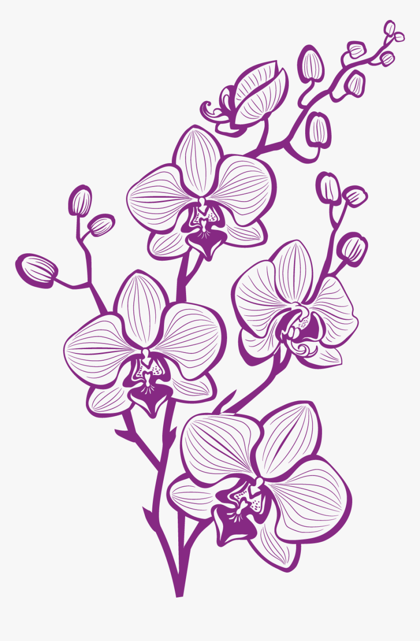 Hand Painted Purple Orchid Vector, HD Png Download, Free Download