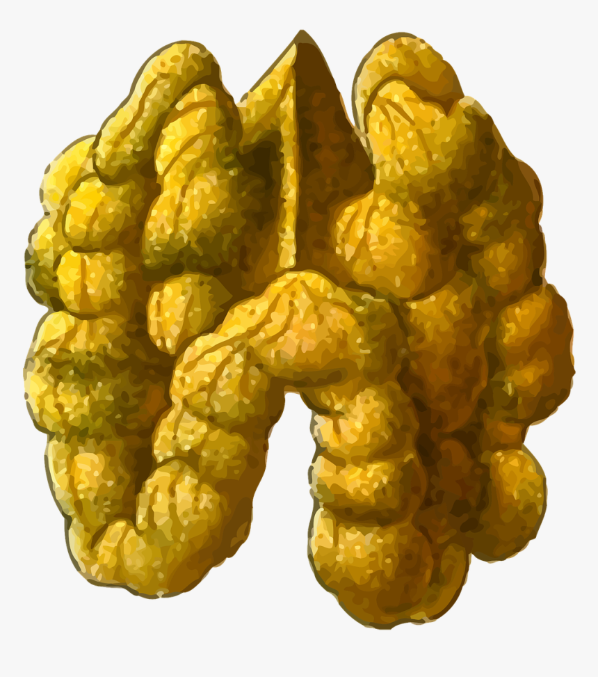 Nut Png, Transparent Png, Free Download