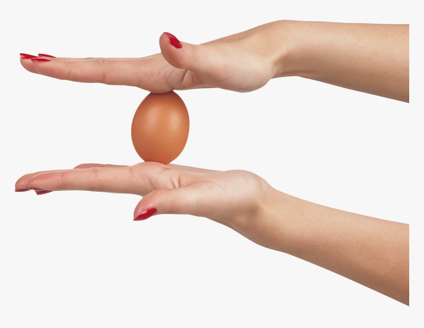 Egg Between Hands, HD Png Download, Free Download