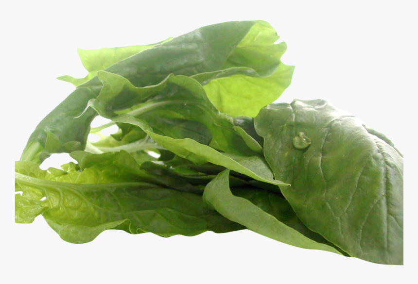 Spinach Png, Transparent Png, Free Download