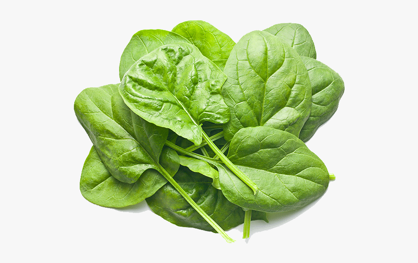 Spinach Png, Transparent Png, Free Download