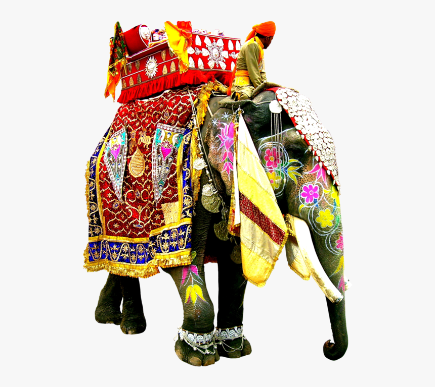 Wedding Elephant In Bahadurgarh, HD Png Download, Free Download