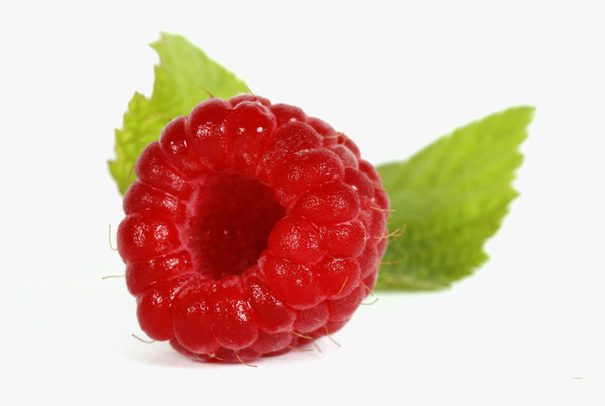 Single Raspberry Png Image Background, Transparent Png, Free Download
