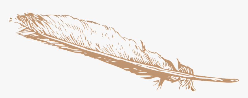 Feather, Pinion, Quill, Flight, Light, HD Png Download, Free Download