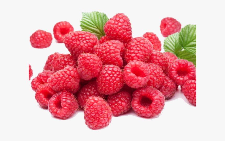 raspberry png transparent images png download kindpng raspberry png transparent images png