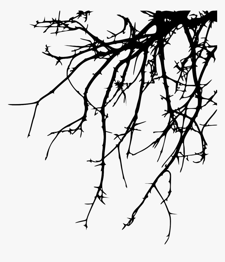 #freetoedit #tree #branch #silhouette #4trueartists, HD Png Download, Free Download