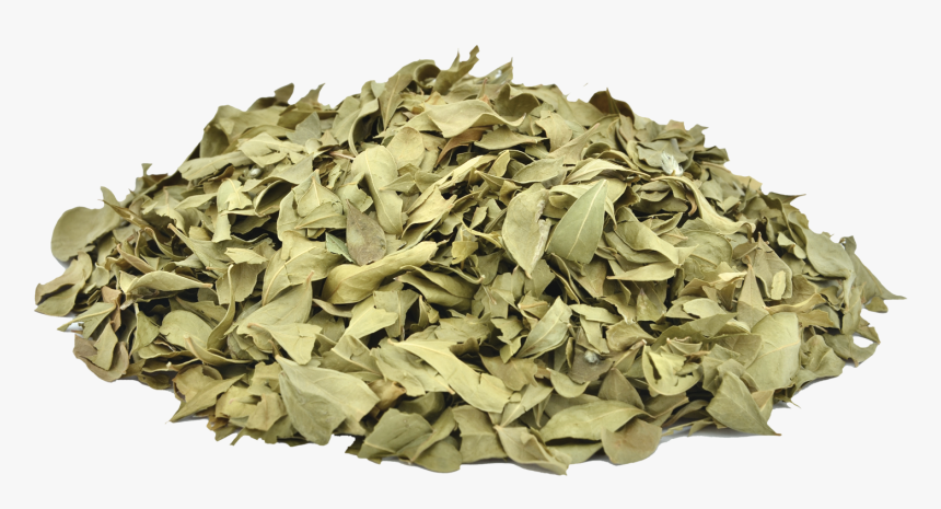 Dry Leaves Png, Transparent Png, Free Download