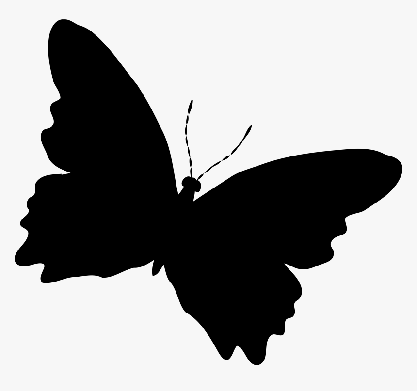 Butterfly Silhouette Drawing Clip Art, HD Png Download, Free Download