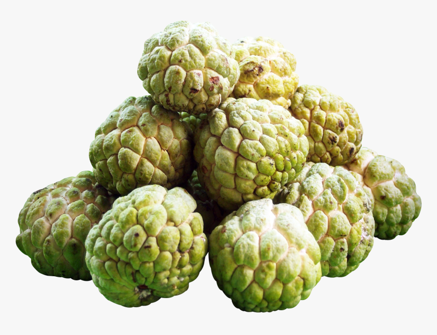 Sugar Apple Png Background Image, Transparent Png, Free Download