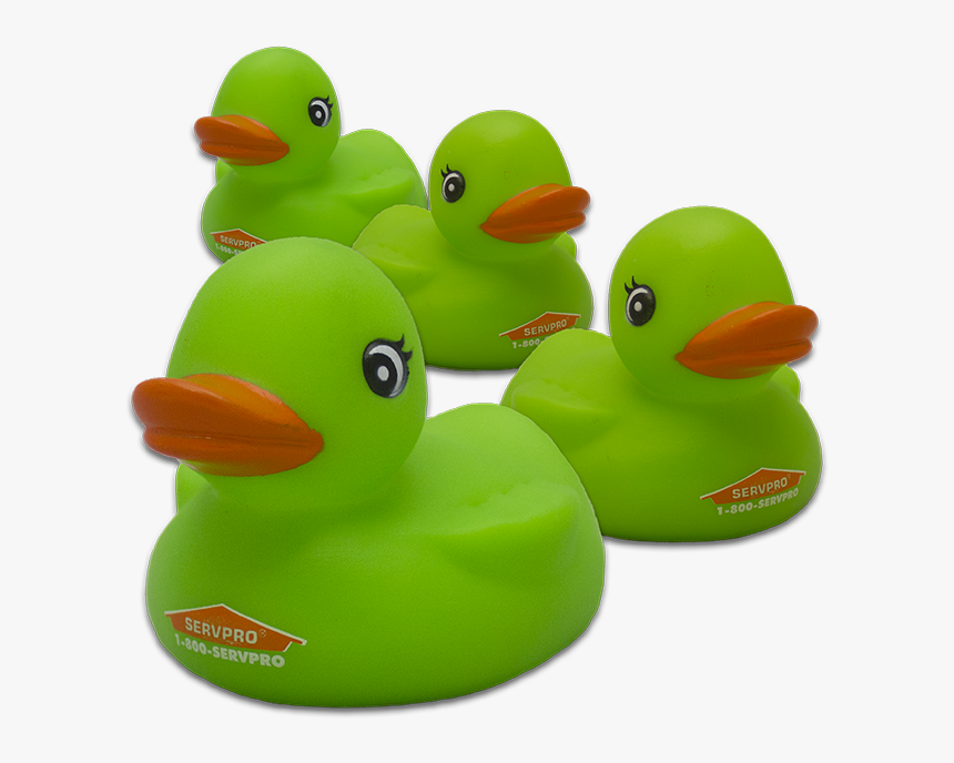 Rubber Duck, HD Png Download, Free Download