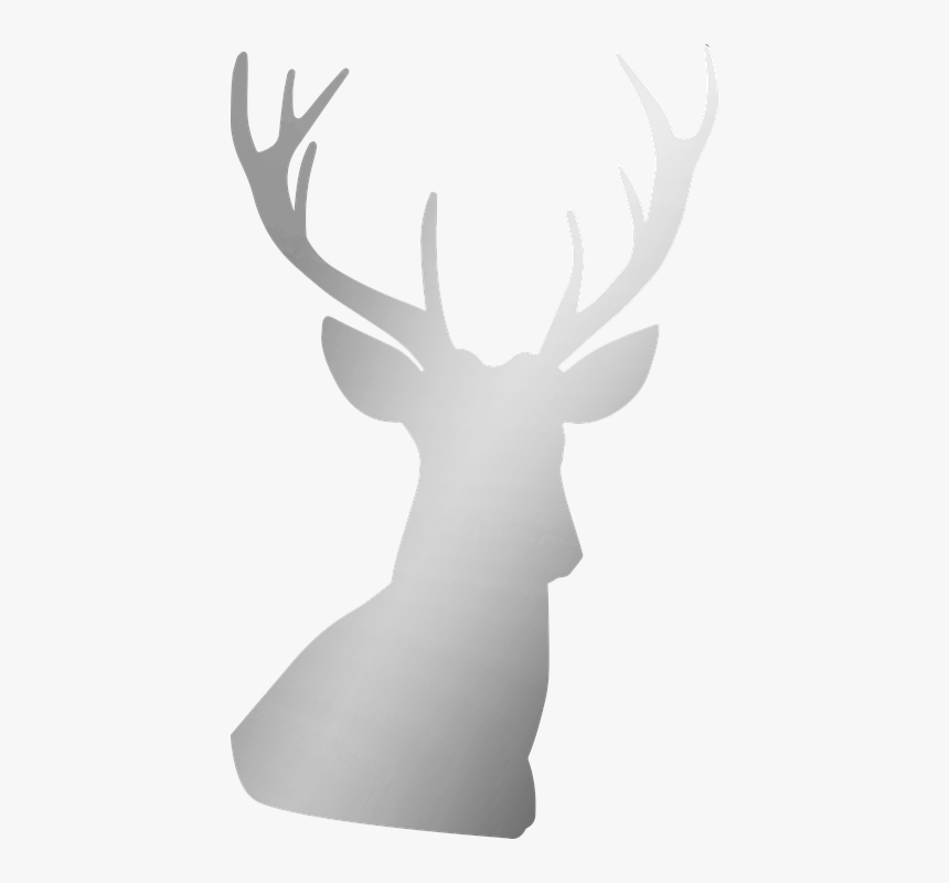 Silver, Deer, Antler, Buck, Stag, Metallic, Foil, HD Png Download, Free Download